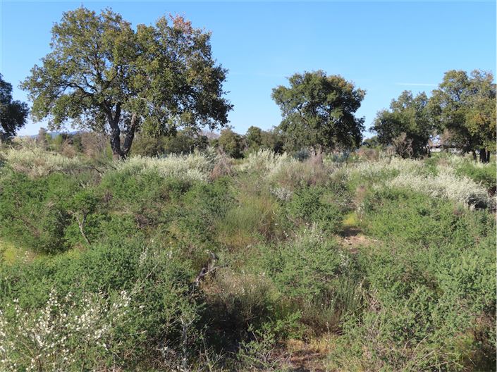 Image No.6-Property for sale