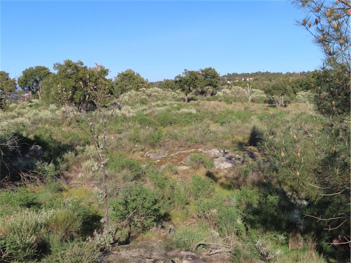 Image No.7-Property for sale