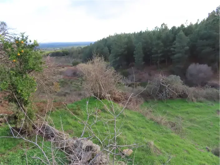 Image No.23-Property for sale