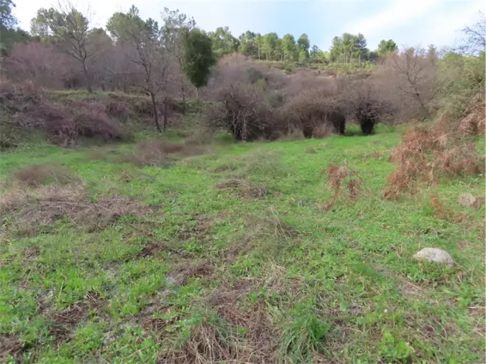 Image No.25-Property for sale