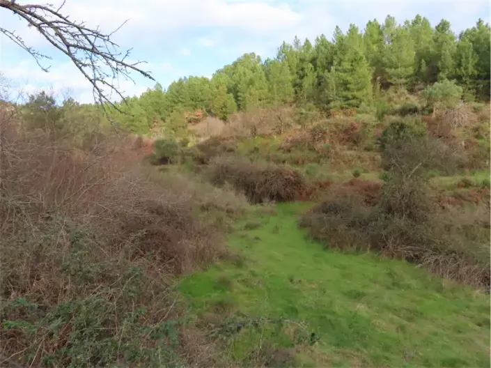 Image No.27-Property for sale