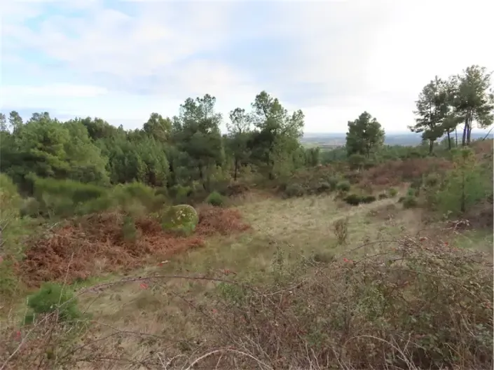 Image No.32-Property for sale