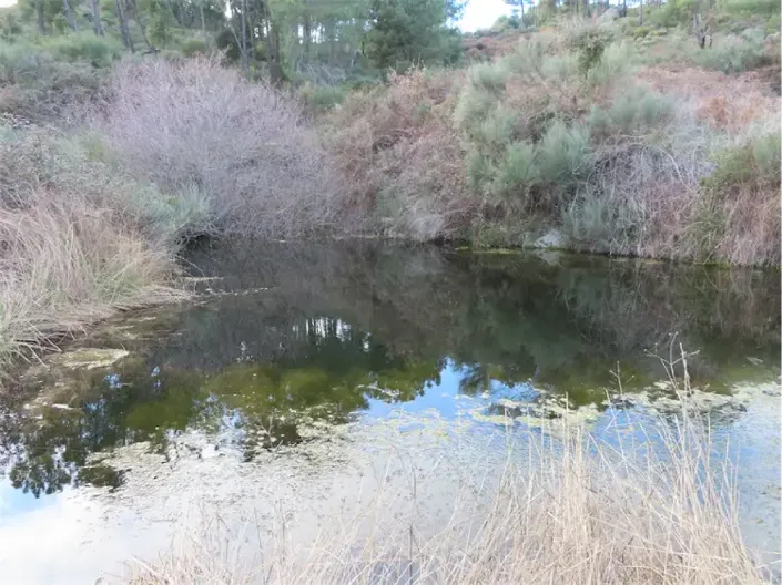 Image No.33-Property for sale