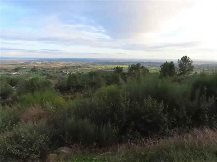 Image No.36-Property for sale