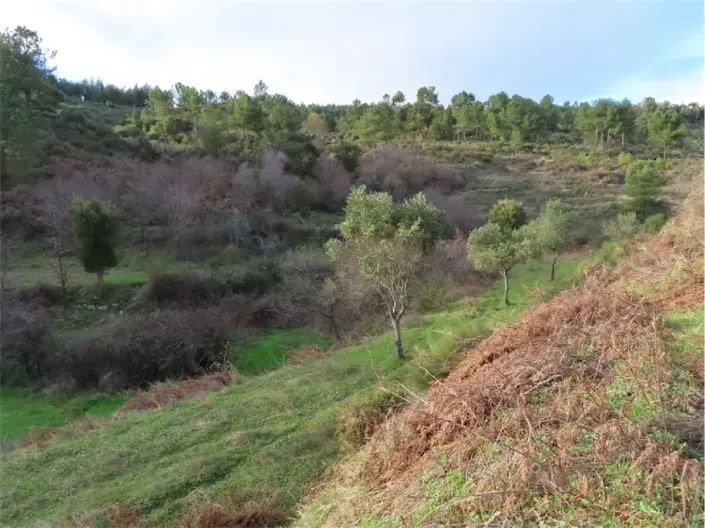 Image No.5-Property for sale