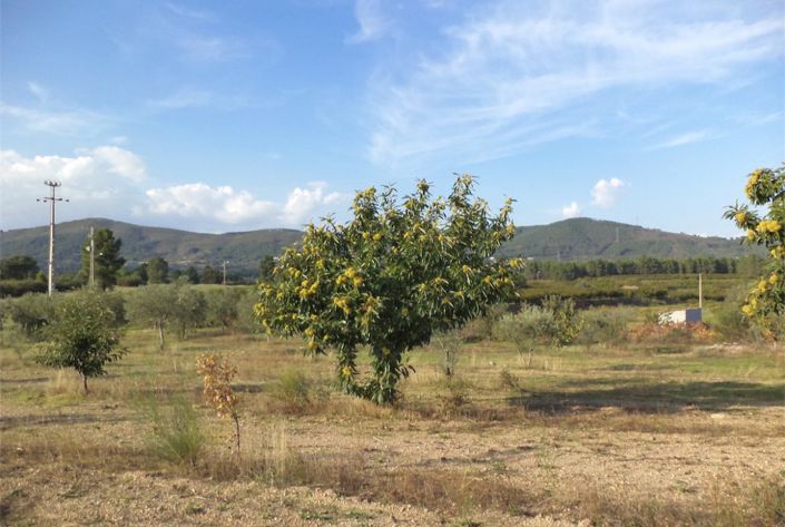 Image No.1-Property for sale