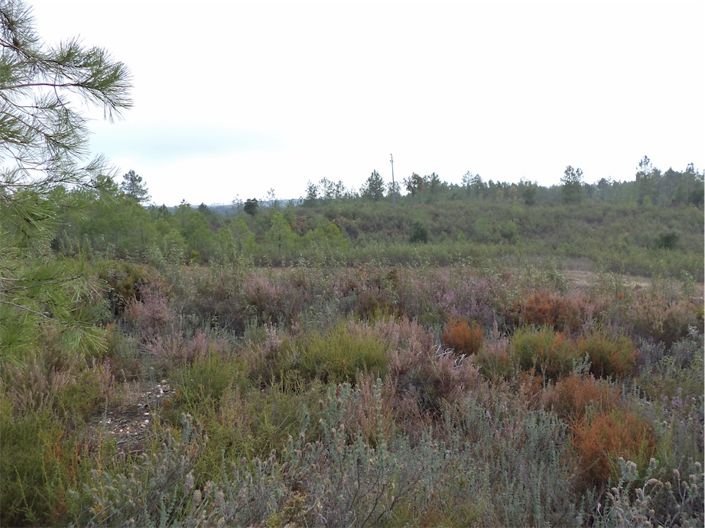 Image No.11-Property for sale