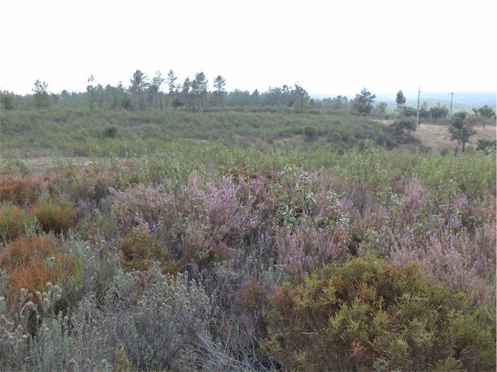 Image No.12-Property for sale