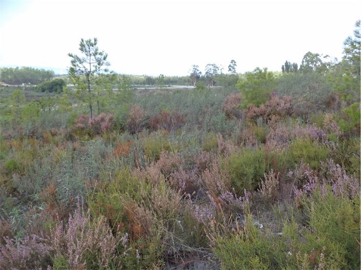 Image No.13-Property for sale