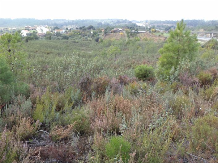 Image No.14-Property for sale