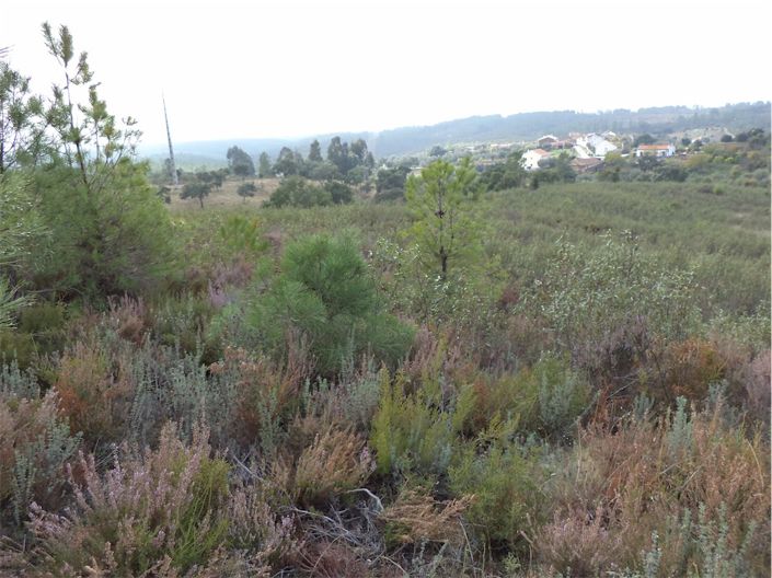 Image No.15-Property for sale