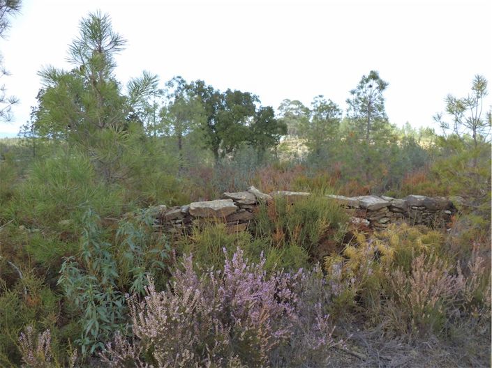 Image No.19-Property for sale