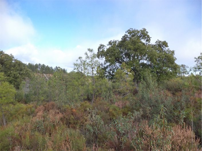 Image No.2-Property for sale