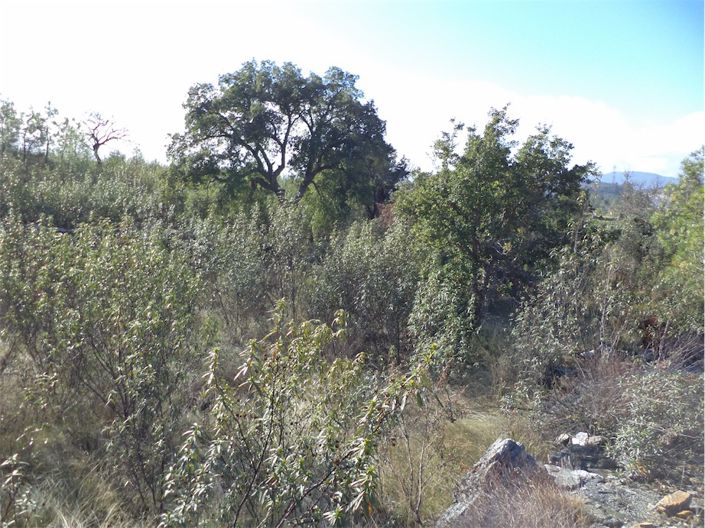 Image No.21-Property for sale