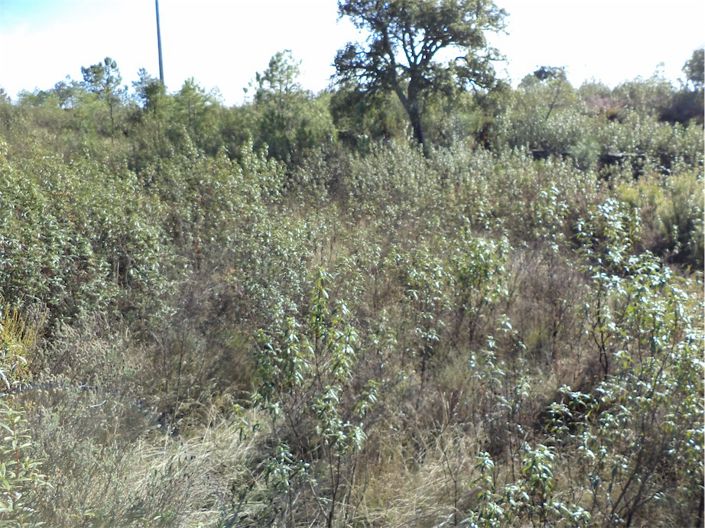 Image No.4-Property for sale