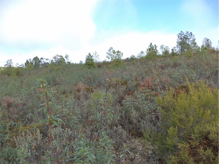 Image No.5-Property for sale