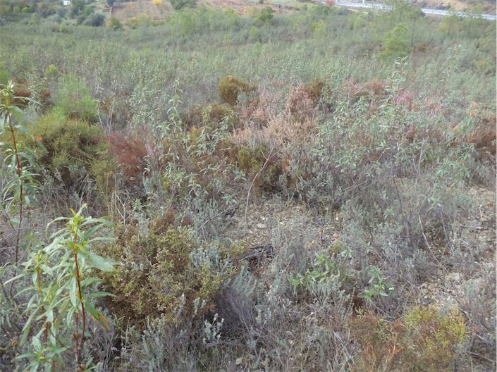 Image No.6-Property for sale