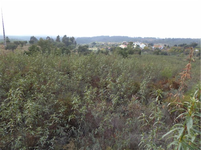 Image No.7-Property for sale