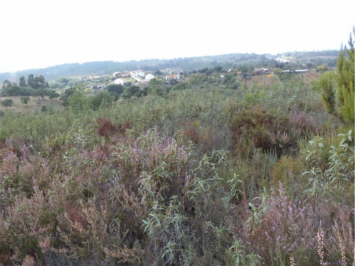 Image No.8-Property for sale