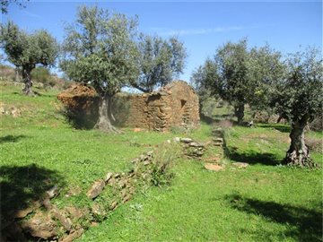1 - Castelo Branco, Farmhouse