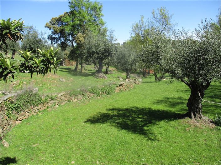 Image No.17-Farmhouse for sale