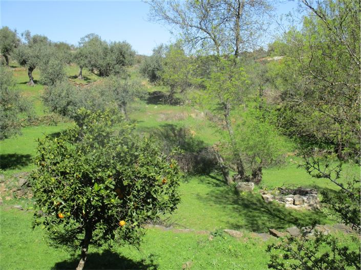 Image No.19-Farmhouse for sale