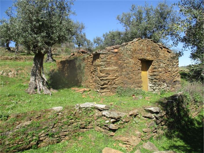 Image No.2-Farmhouse for sale