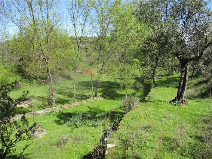 Image No.21-Farmhouse for sale