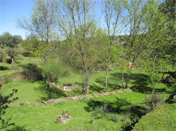 Image No.22-Farmhouse for sale