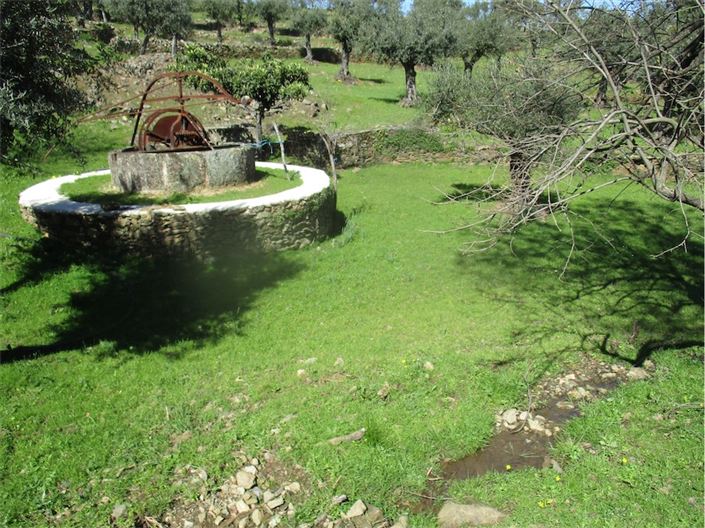 Image No.23-Farmhouse for sale