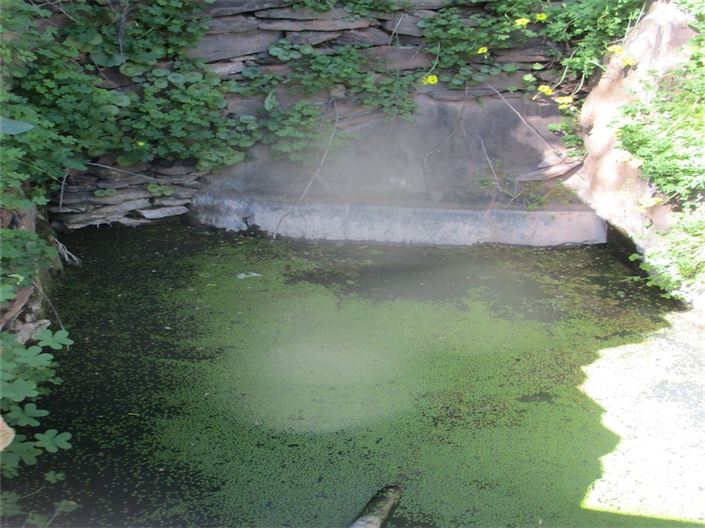 Image No.8-Farmhouse for sale