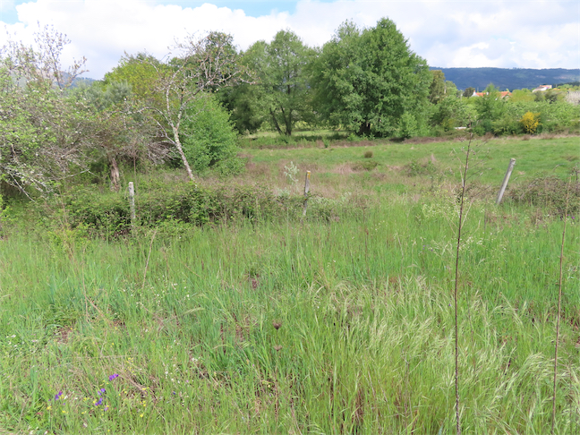 Image No.11-Property for sale