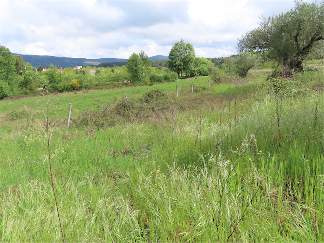 Image No.12-Property for sale