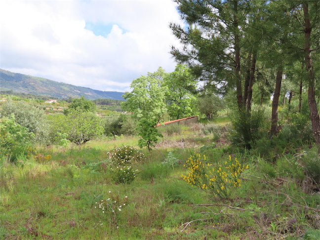 Image No.16-Property for sale