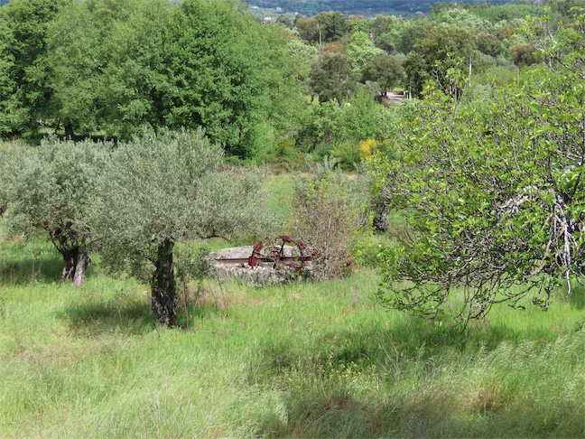 Image No.17-Property for sale