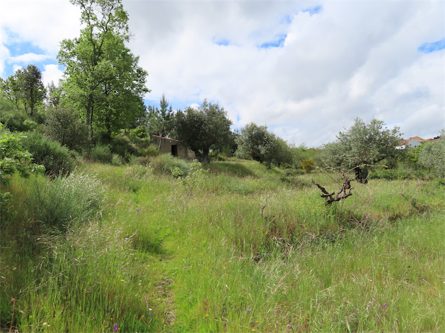 Image No.18-Property for sale