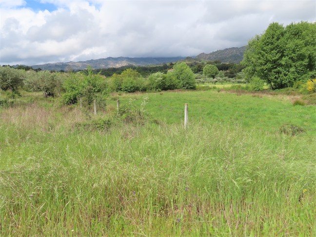 Image No.19-Property for sale