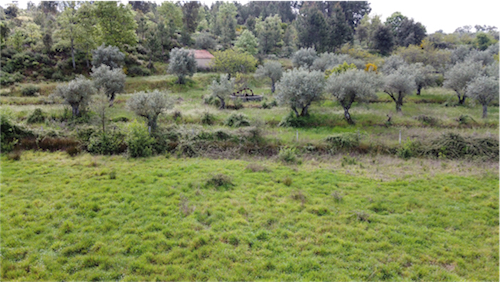 Image No.4-Property for sale