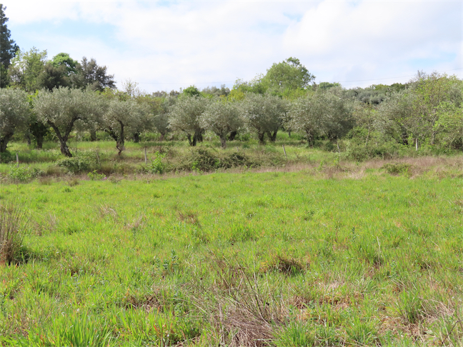 Image No.7-Property for sale