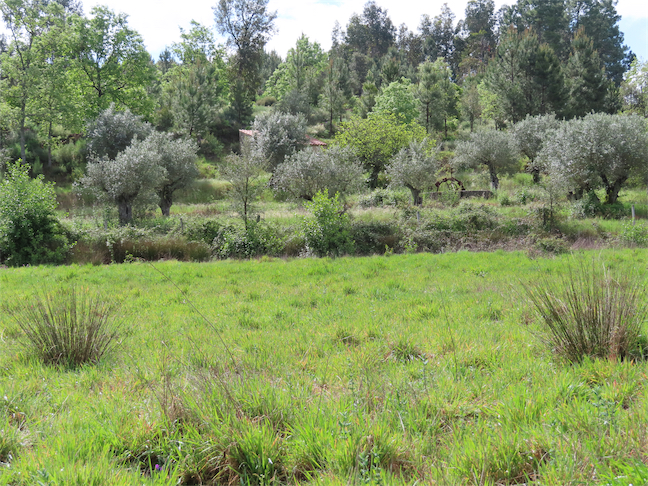 Image No.8-Property for sale