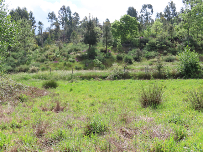 Image No.9-Property for sale