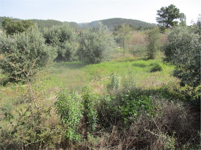 Image No.13-Property for sale