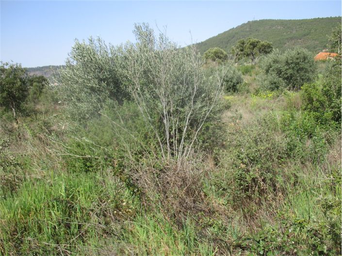 Image No.16-Property for sale