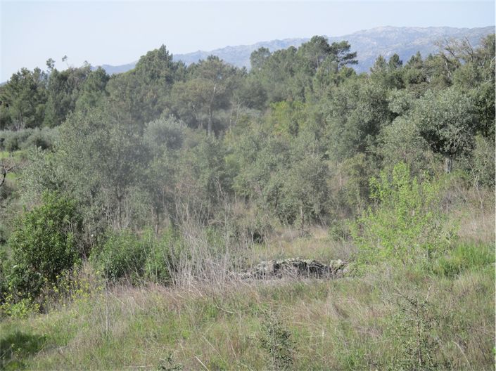 Image No.20-Property for sale