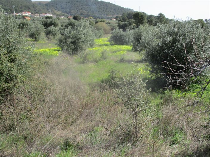 Image No.24-Property for sale