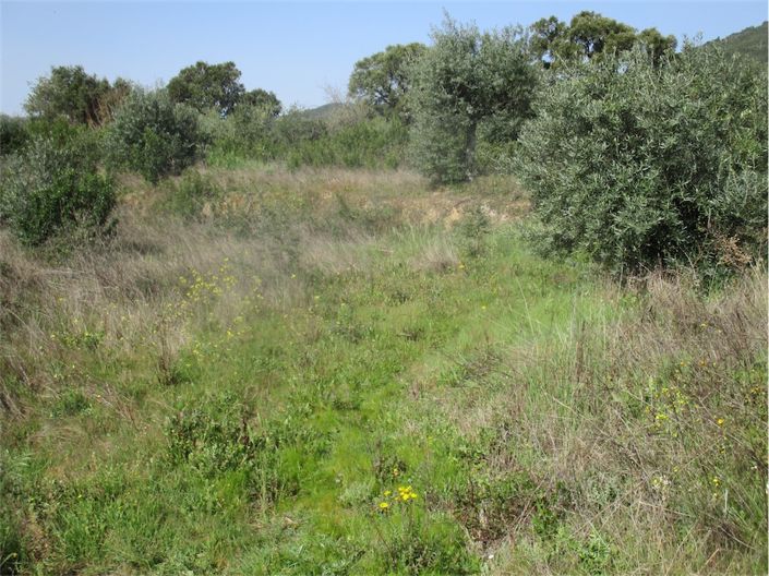 Image No.25-Property for sale