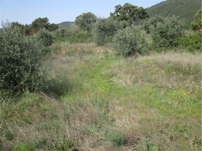 Image No.26-Property for sale