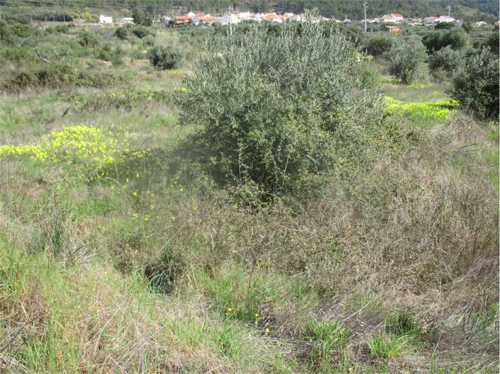 Image No.27-Property for sale