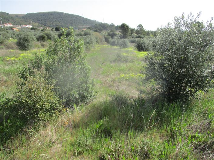 Image No.29-Property for sale