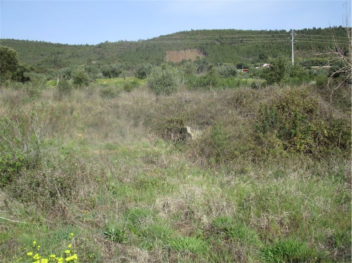 Image No.4-Property for sale